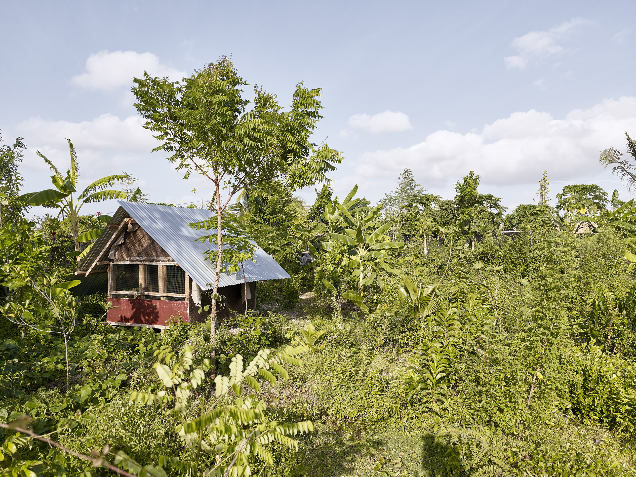 Kizikula, Kizimkazi, Zanzibar